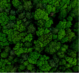 Green Waste Management